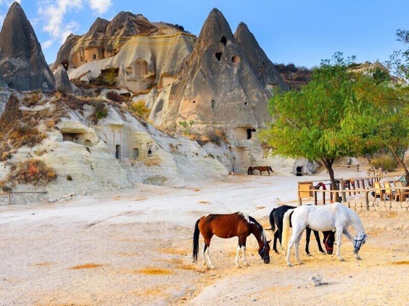 Güzel Atlar Ülkesi Kapadokya