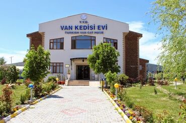 Van Gölü ve Çevresi