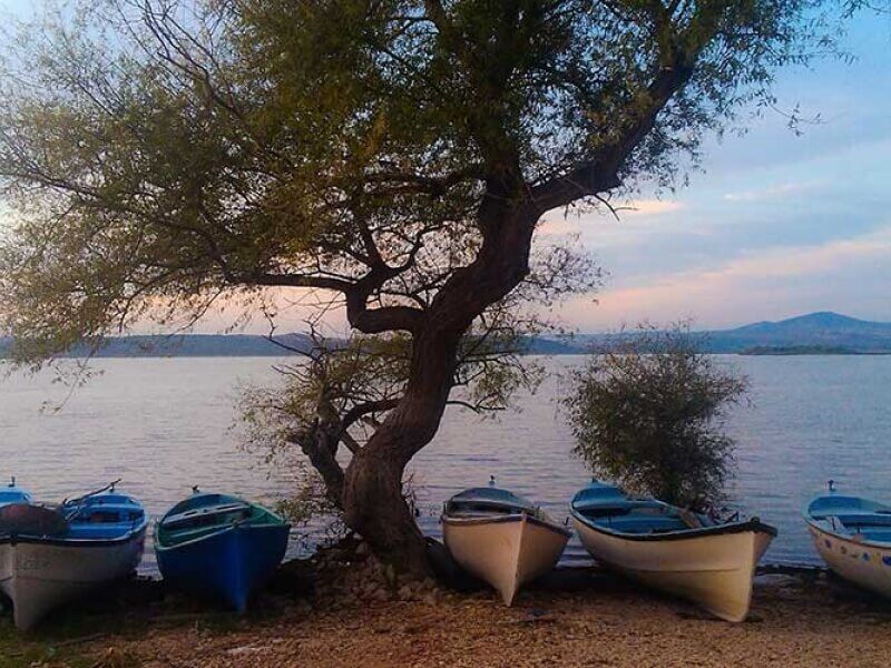 Gölyazı, Mudanya ve Tirilye