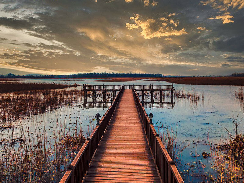 Şelaleler ve Efteni Gölü