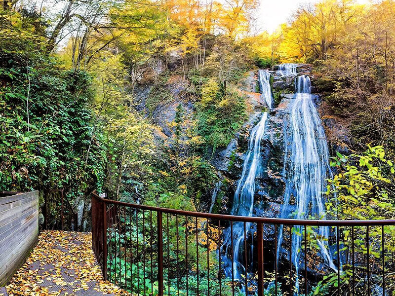 Şelaleler ve Efteni Gölü