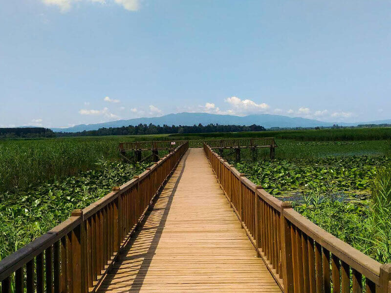 Şelaleler ve Efteni Gölü