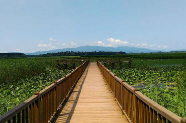 Şelaleler ve Efteni Gölü