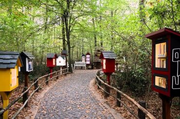 Maşukiye ve Ormanya