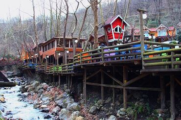 Maşukiye ve Ormanya