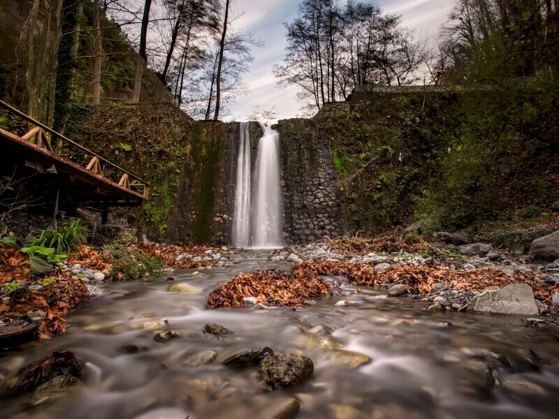 Maşukiye ve Ormanya
