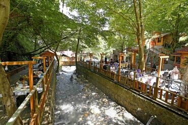 Maşukiye ve Ormanya