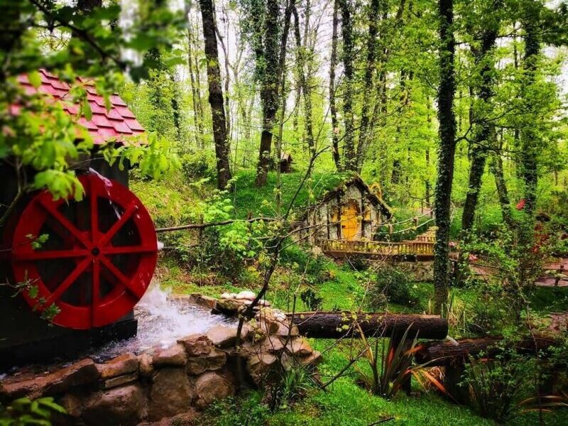 Maşukiye ve Ormanya