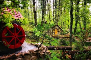 Maşukiye ve Ormanya