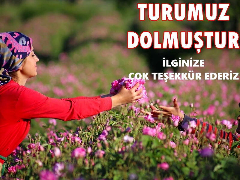 Gül Hasadı