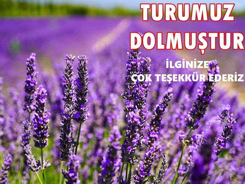 Lavanta Bahçeleri